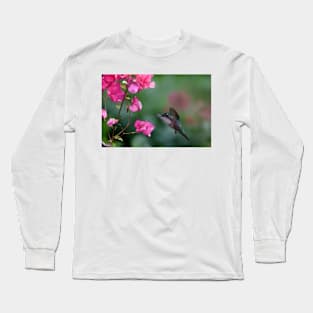 Magnificent Hummingbird Female Feeding At Flower Long Sleeve T-Shirt